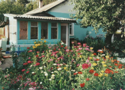История, на самом деле случившаяся в деревне Х. История, на самом деле случившаяся в деревне Х.