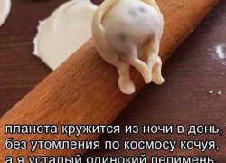 Ода пельменям. Ода пельменям.